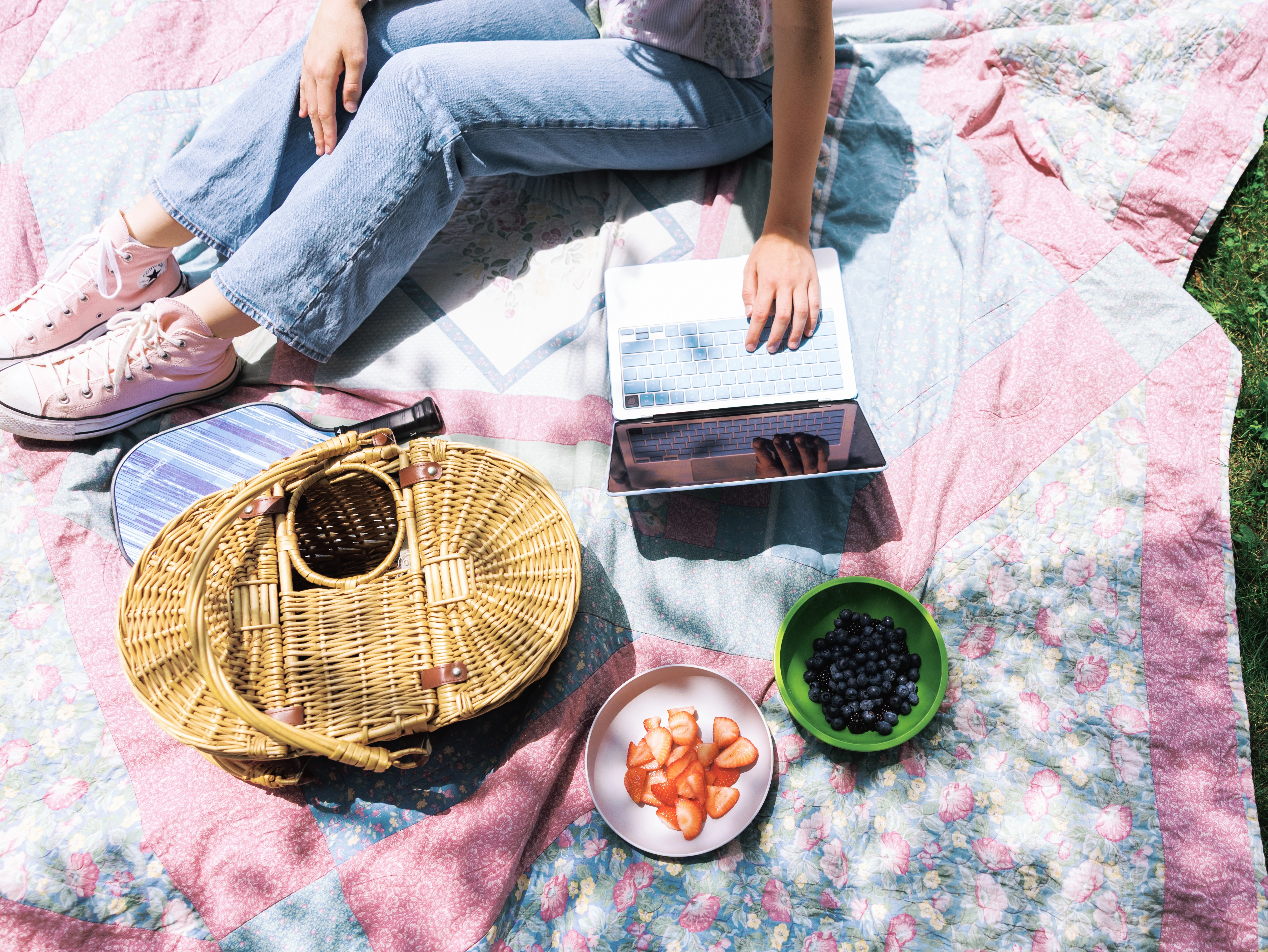 A student studying at a picnic with a laptop, a basket, and two bowls of fruit.